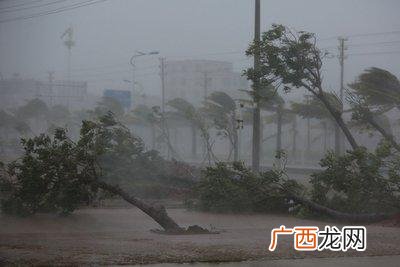 台风一年四季都会发生吗 台风一般在几月份出现