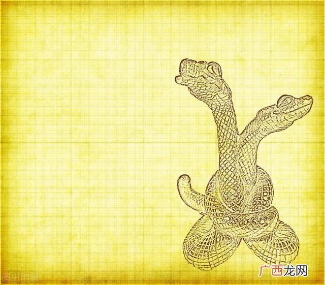 三个生肖最无情，不要惹 生气之后做事会绝情的生肖有哪些