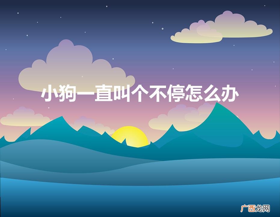 小狗老是叫怎么办 小狗一直叫个不停怎么办
