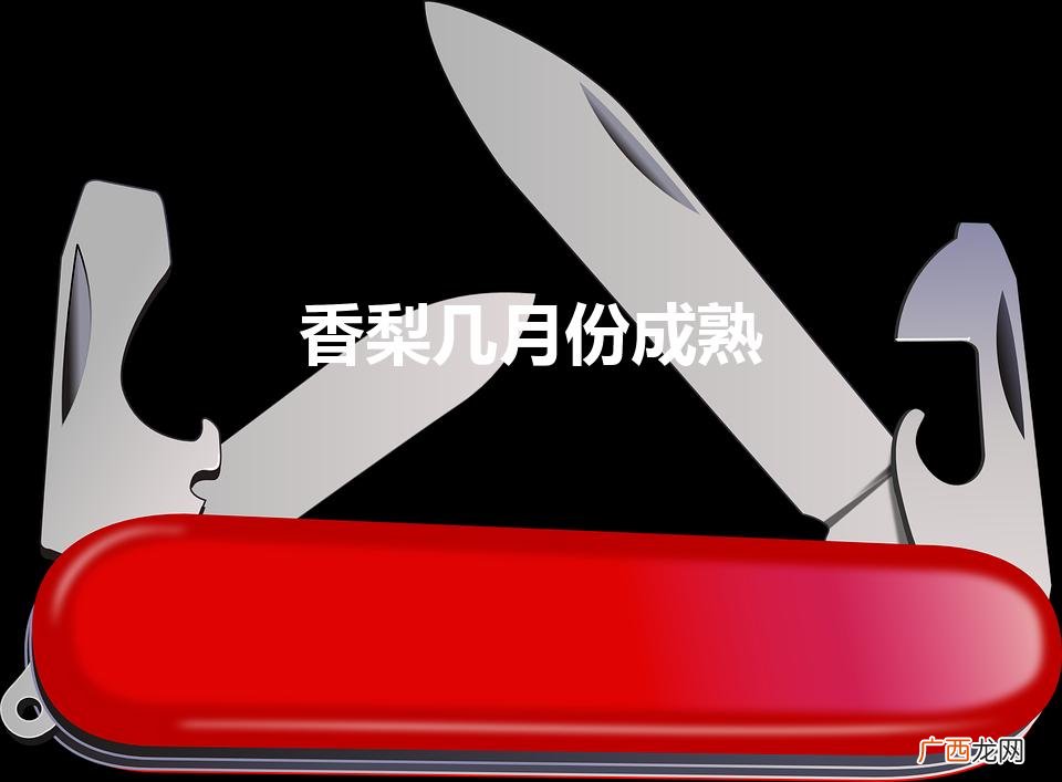 香梨几月份成熟（南果梨什么时候成熟)