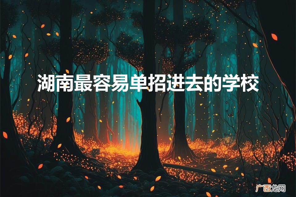 湖南单招稳进的大专有哪些 湖南最容易单招进去的学校