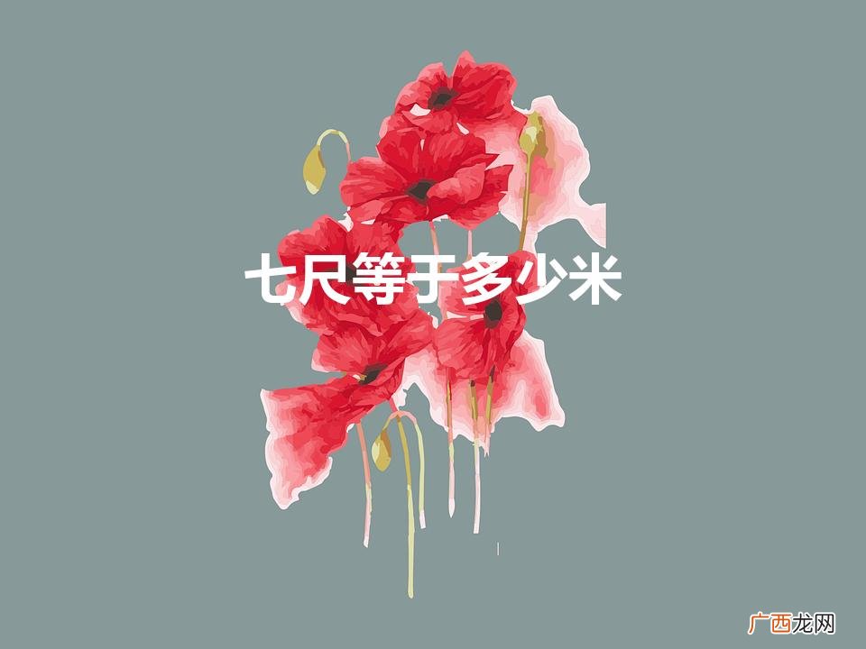 七尺等于多少米（五尺等于多少米)