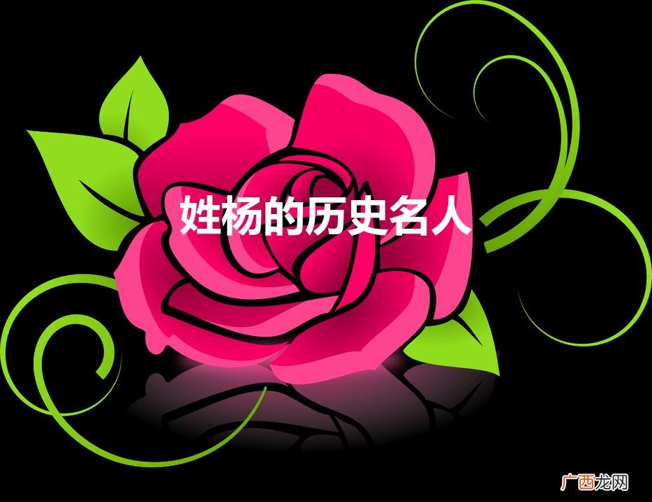 姓杨的历史名人（真正杨家家谱)