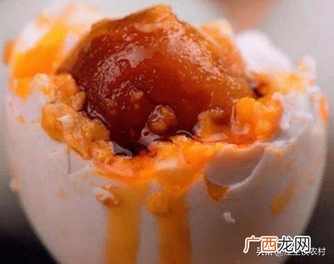 海鸭蛋和咸鸭蛋的区别哪个好 海鸭蛋和咸鸭蛋的区别