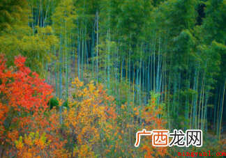 首批天气候景观观赏地名单 首批天气气候景观观赏地名单