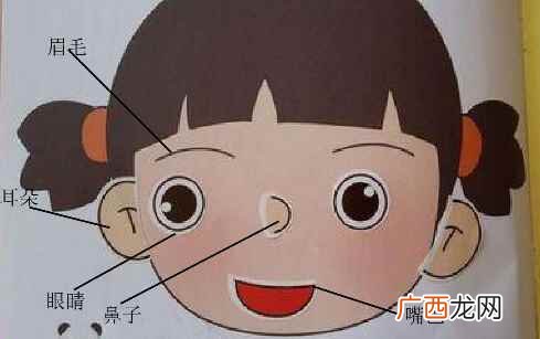 眼、口、耳、鼻、喉是针对五官科诊治对象及分支名称的结果 五官科是指哪五官
