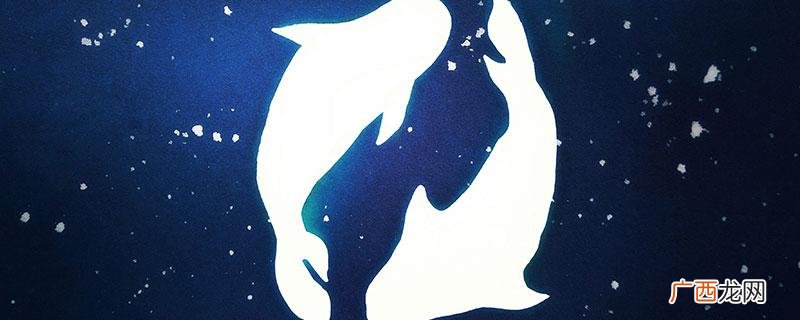 哪个星座真正独宠双鱼座 真心爱双鱼女的星座男