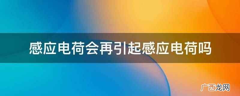 感应电荷会再引起感应电荷吗