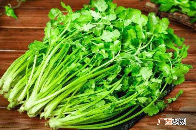 香菜是不是发物