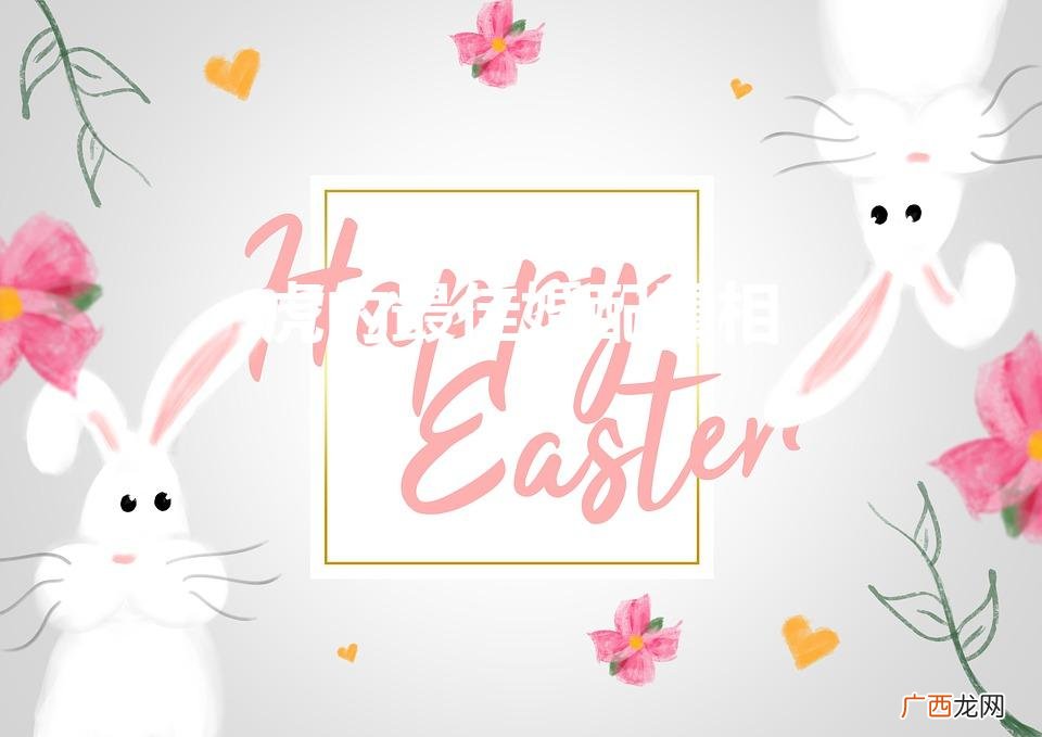 女属虎的最佳婚配属相 虎的最佳婚配属相
