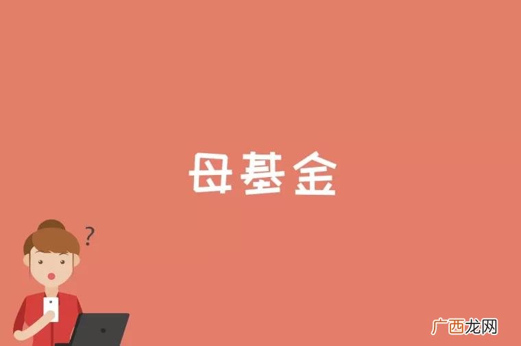 母基金和子基金的关系 母基金是什么意思