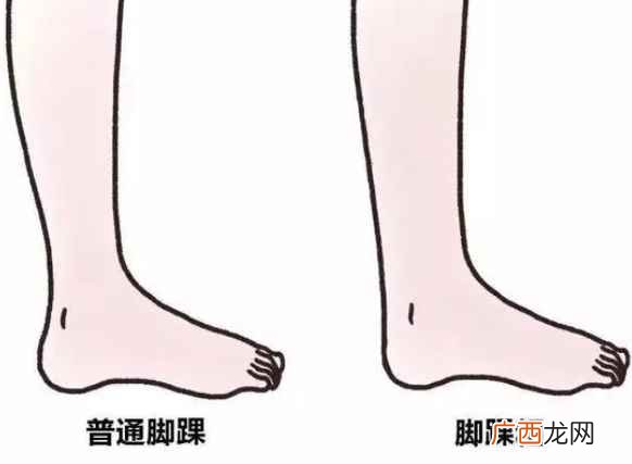 踝子骨脚踝汉字首尾分解 踝怎么读