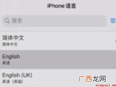 苹果手机地图怎么设置语言的具体操作步骤 苹果手机地图怎么设置语言