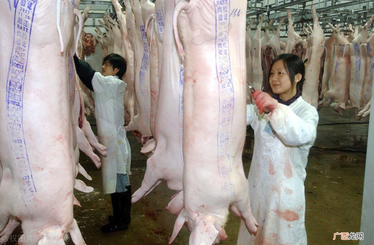 猪肉上的印章能吃吗 猪肉上红章和蓝章有什么区别