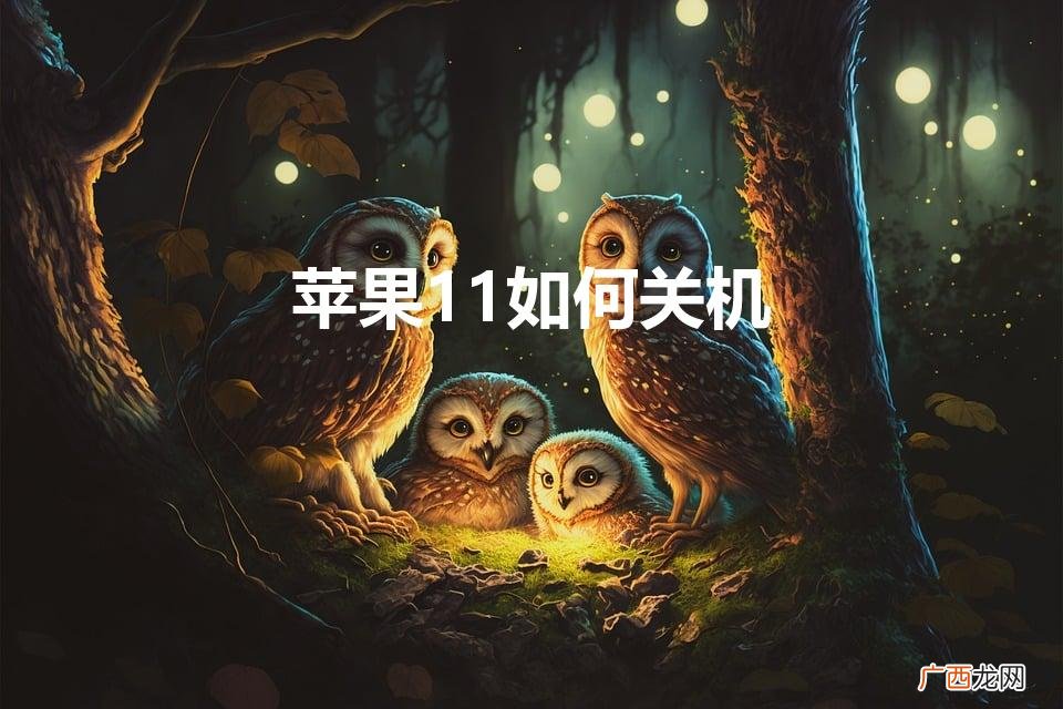 苹果11手机怎么关机 苹果11如何关机