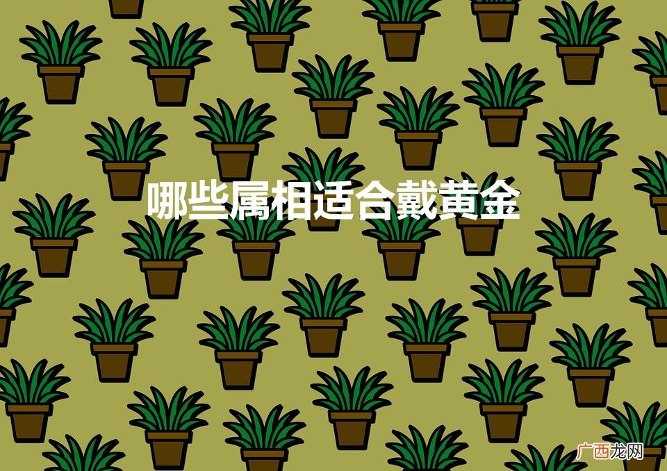 45一50岁女人适合戴什么手镯 哪些属相适合戴黄金