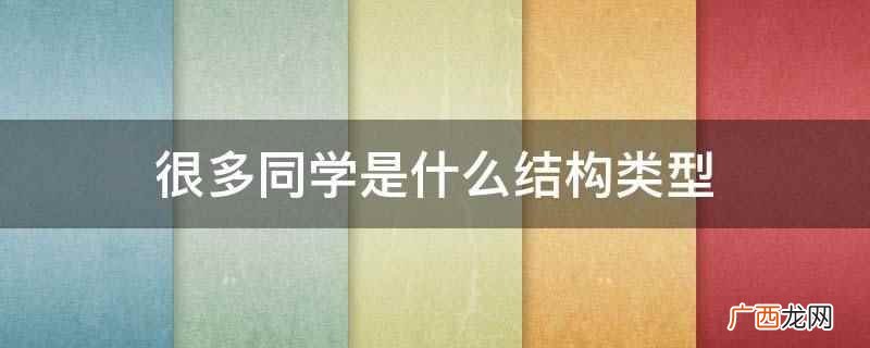 同位语与被它限定的词的格要一致 很多同学是什么结构类型