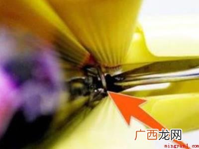 大卫拖把怎么换海绵头的具体操作步骤 大卫拖把怎么换海绵头
