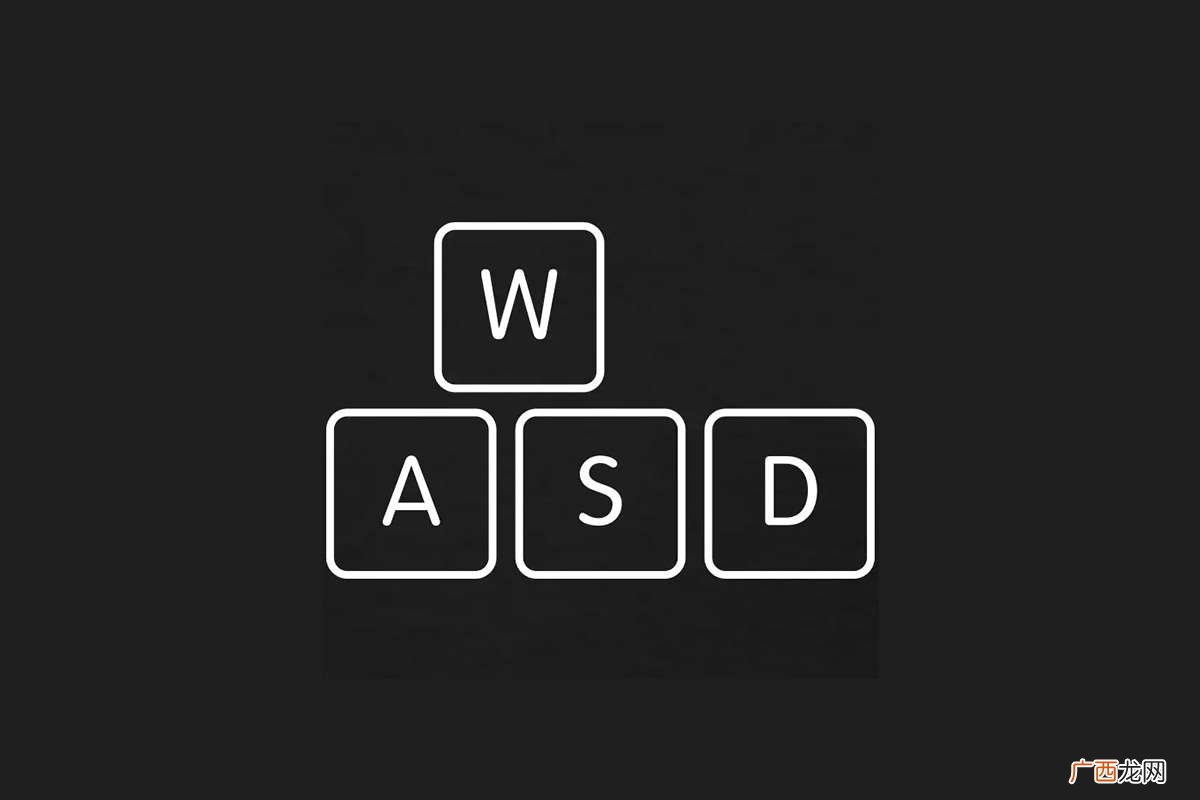 WASD是什么