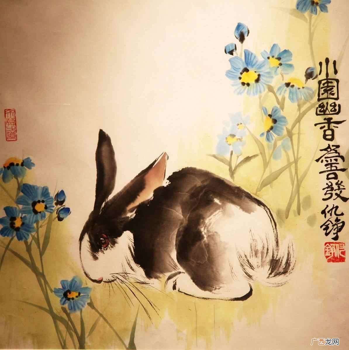 生肖兔一生最克谁
