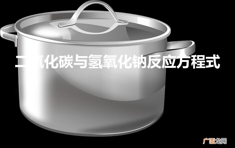 具体反应的化学方程式详解 二氧化碳与氢氧化钠反应方程式