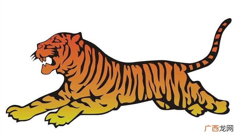 2022年属虎运势:生肖属虎的人