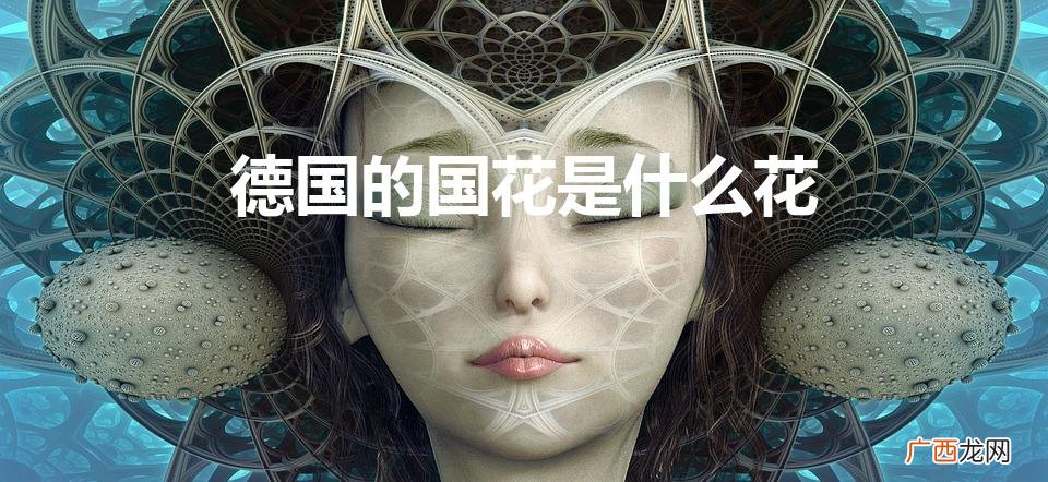 德国的国花是什么 德国的国花是什么花