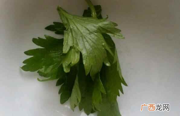 孕妇可以吃芹菜叶吗