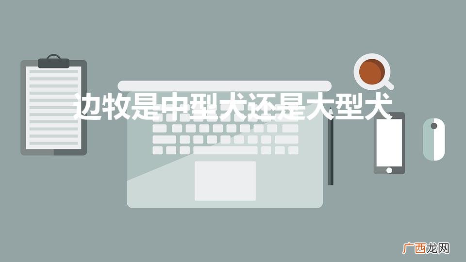 边牧是中型犬还是大型犬（16个不能养边牧的理由)