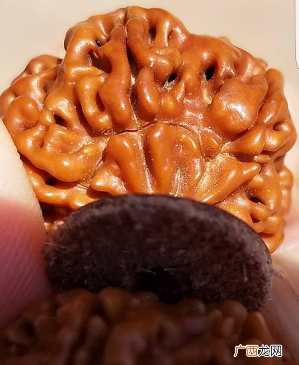 金刚菩提开裂的修复处理方法 金刚菩提开裂正常吗
