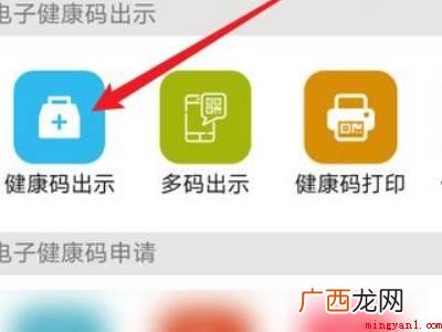 演示机型:Iphone 12 支付宝金盾健康码怎么弄