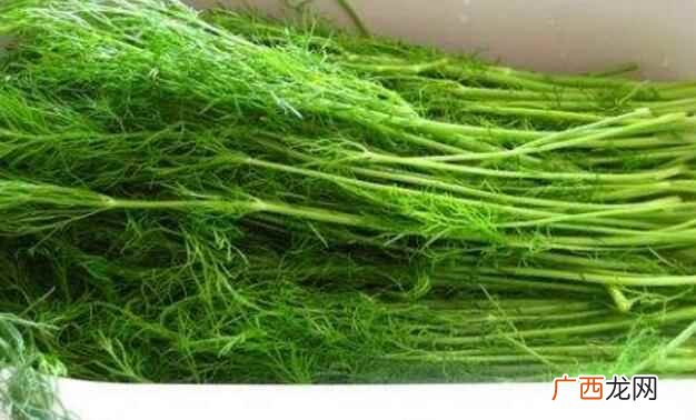 茴香怎么吃