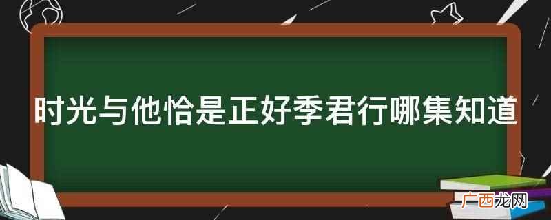 时光与他恰是正好季君行哪集知道