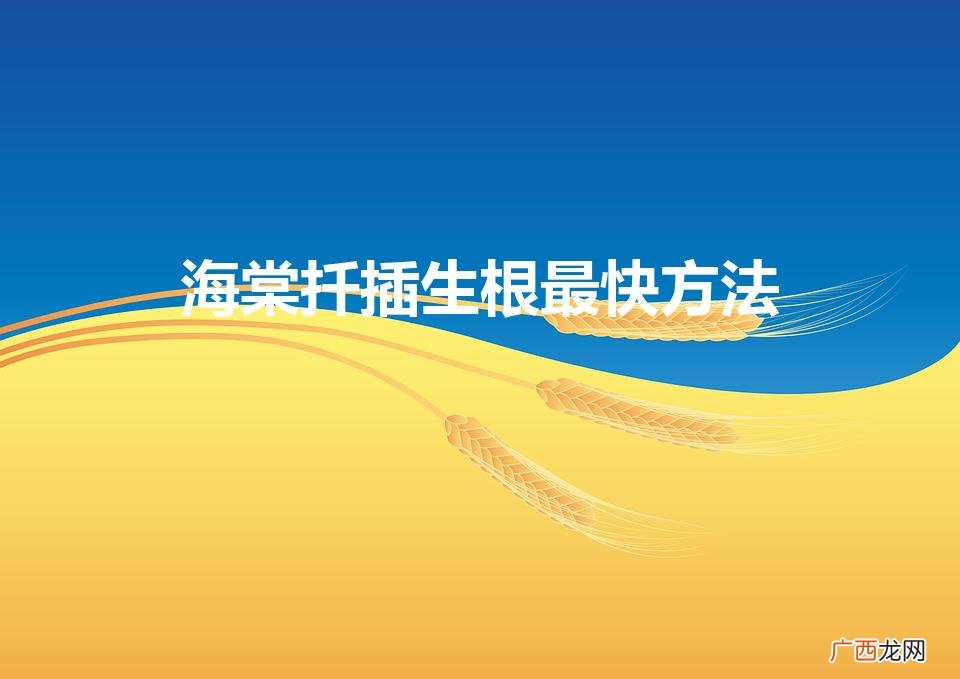 海棠扦插生根最快方法(海棠扦插生根最快方法是什么)