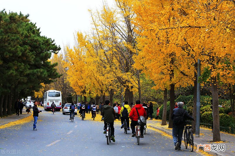 2022世界公认顶级大学前十名单 全球最好的大学排行榜