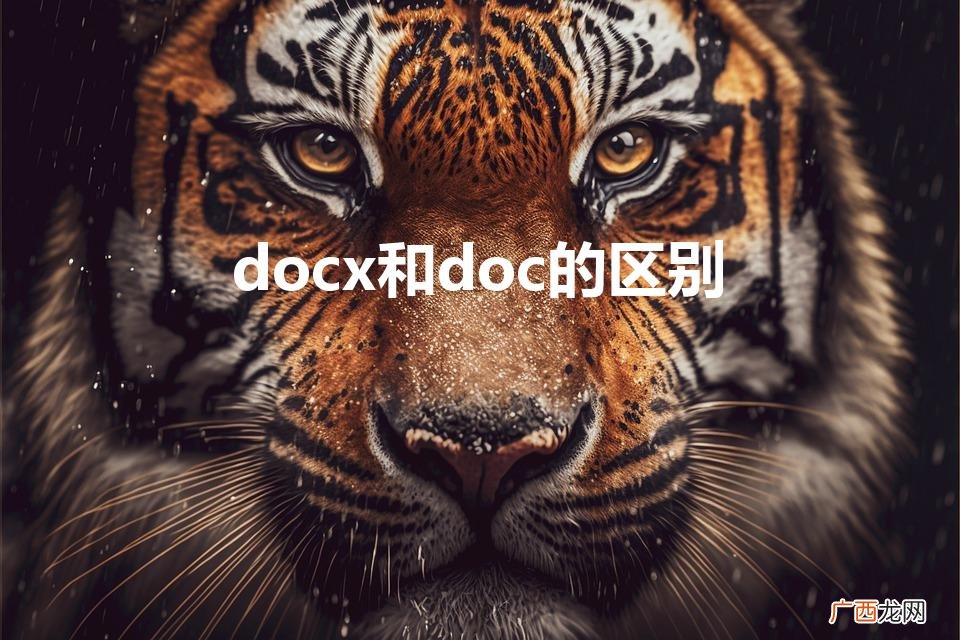 docx和doc的区别哪个是word文档 docx和doc的区别