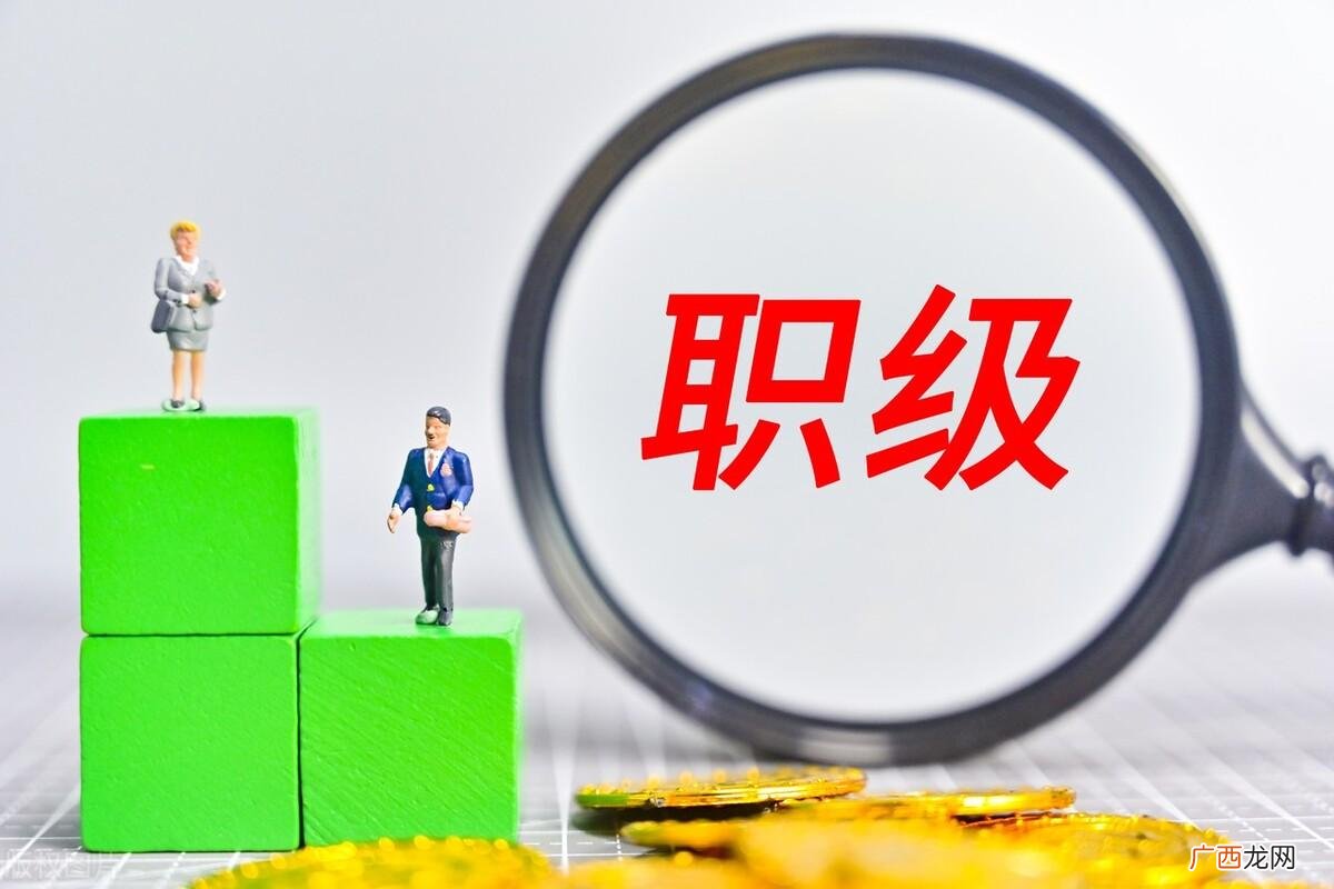 两者的行政级别和工作内容如何 调研员和巡视员的区别