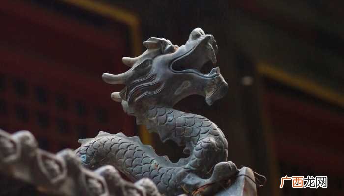 龙图腾最早起源于什么时候 四海为家是什么动物