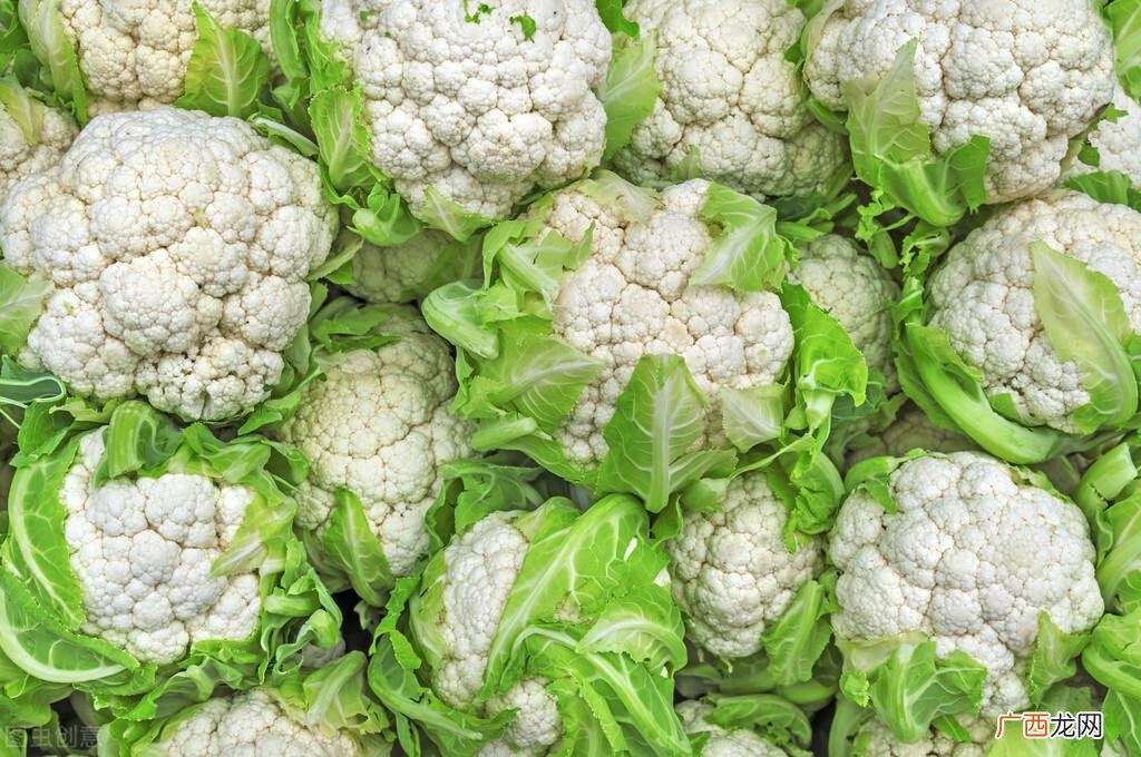花菜播种时间和栽种管理方法 菜花什么时间种植好