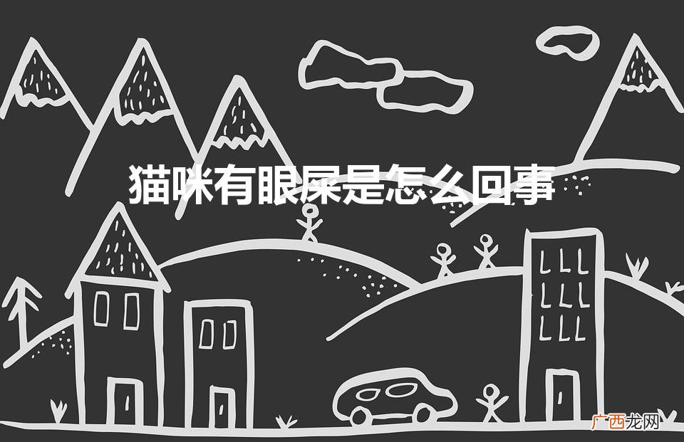 猫咪有眼屎是怎么回事（猫咪有眼屎是怎么回事可以抠吗)