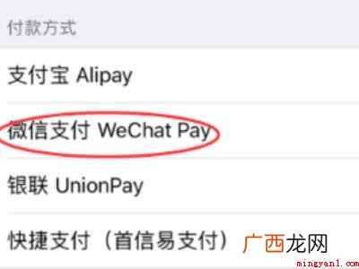 演示机型:Iphone 12 苹果如何用微信支付腾讯VIP