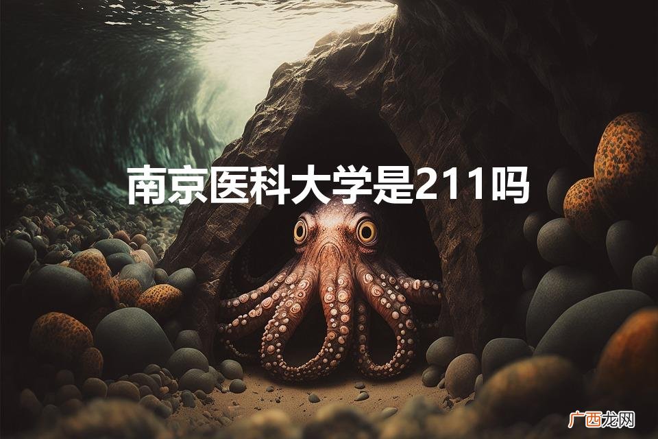 南京医科大学是211吗（双一流能和211比吗)