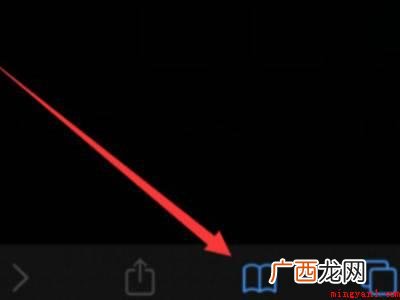 safari怎么查早期历史的具体操作步骤 safari怎么查早期历史
