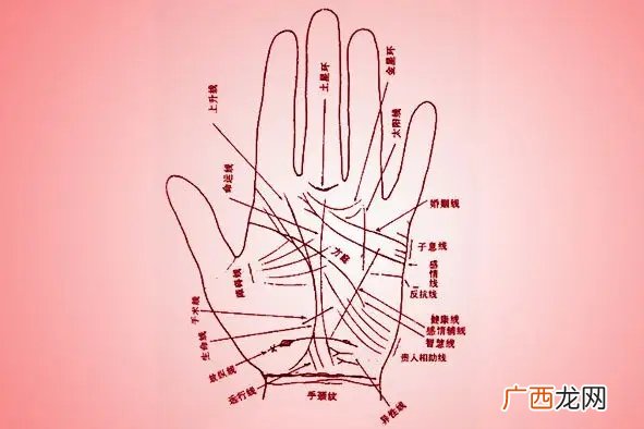 生命线短代表什么 生命线短寿命就短吗