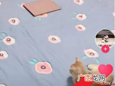 演示机型:Iphone 12 抖音获赞怎么清除