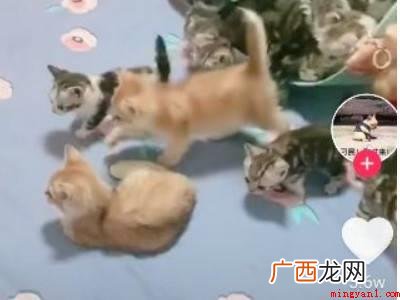 演示机型:Iphone 12 抖音获赞怎么清除