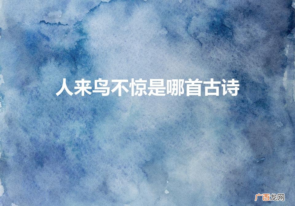 这首诗是谁写的 人来鸟不惊是哪首古诗