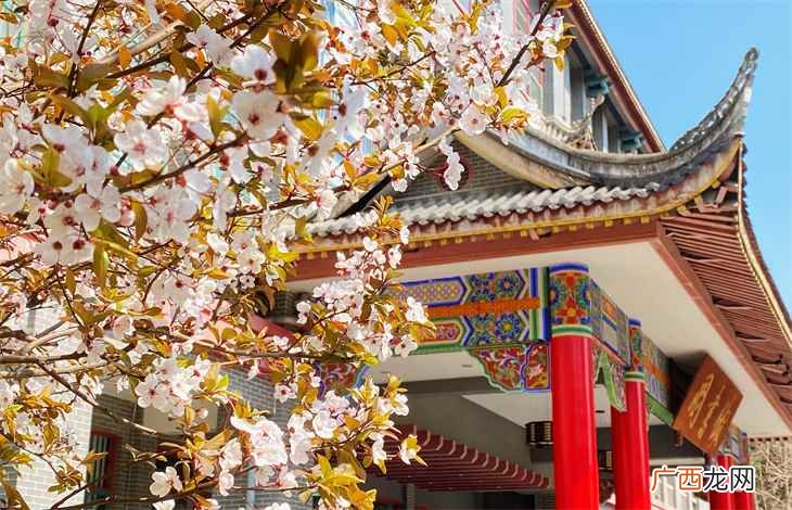 专升本可以报考哪些大学重庆 专升本可以报考哪些大学
