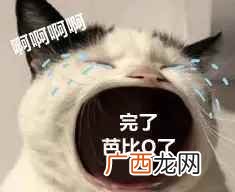 芭比q了是什么意思啊 芭比q了是什么意思