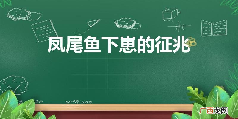 母凤尾鱼下崽时有什么征兆 凤尾鱼下崽的征兆